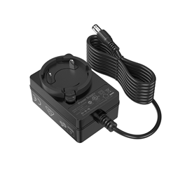 9V 1A Interchangeable Plug Power Adapter